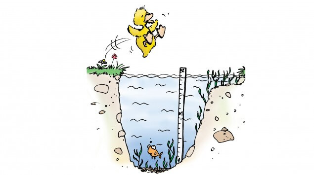 Springe nur ins Wasser, wenn es frei und tief genug ist. 10