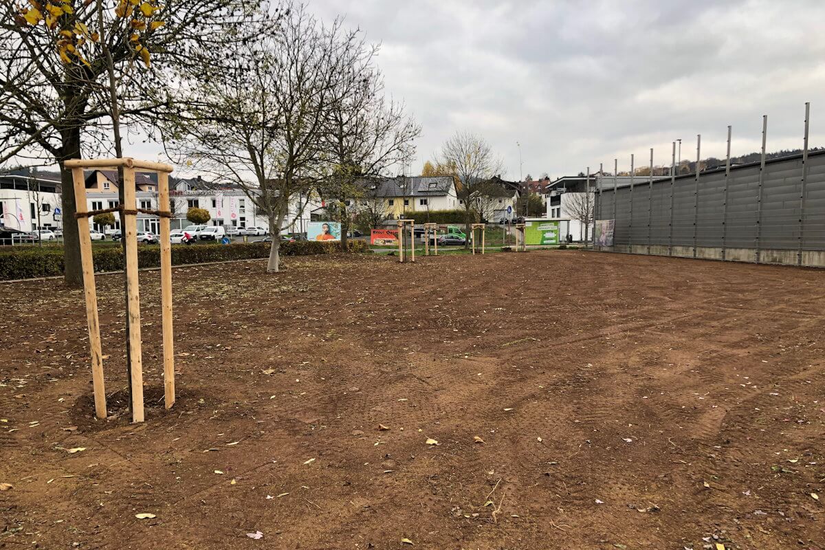 Begradigung Fläche Begradigung Fläche