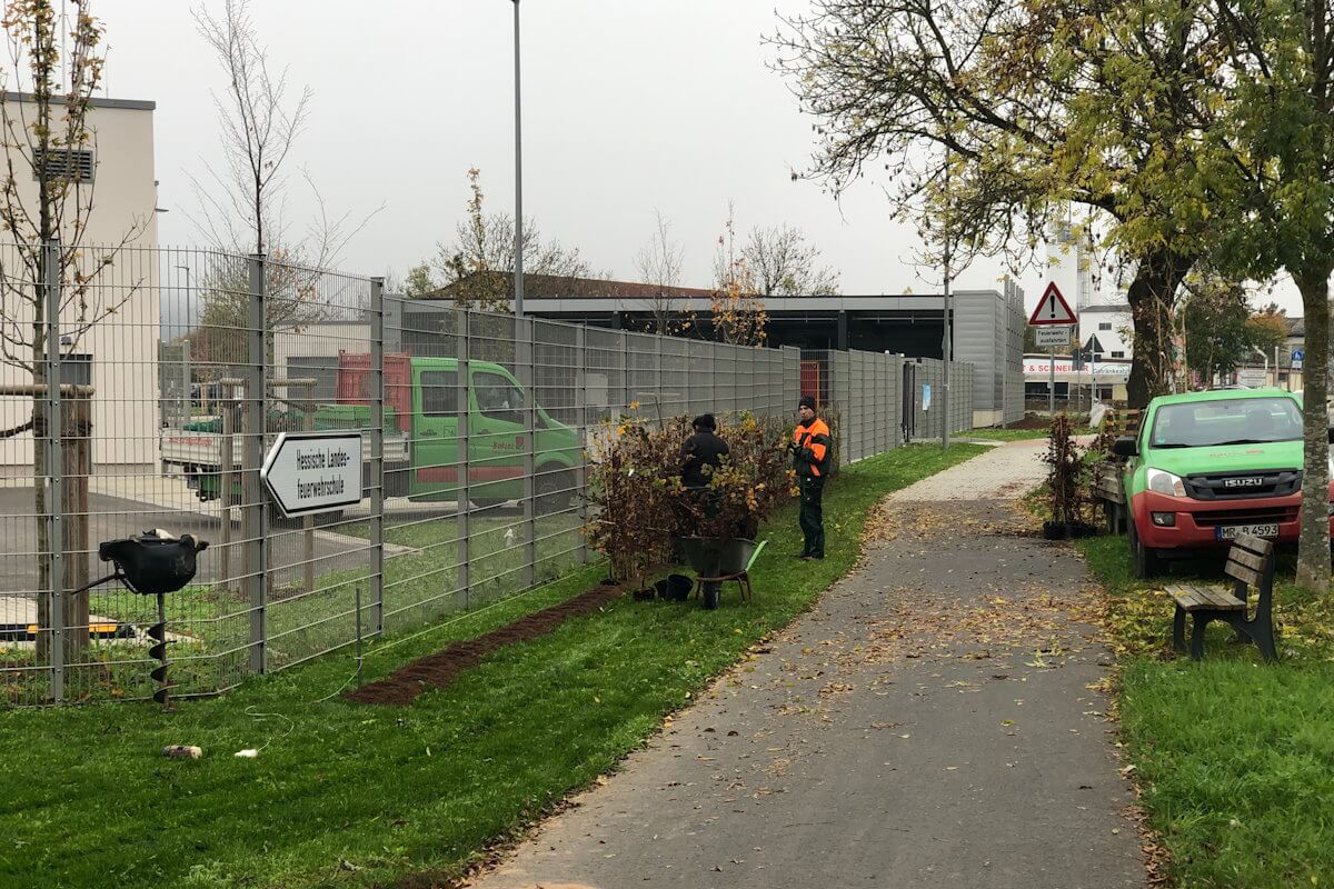 Bepflanzung Zaunanlage Bepflanzung Zaunanlage