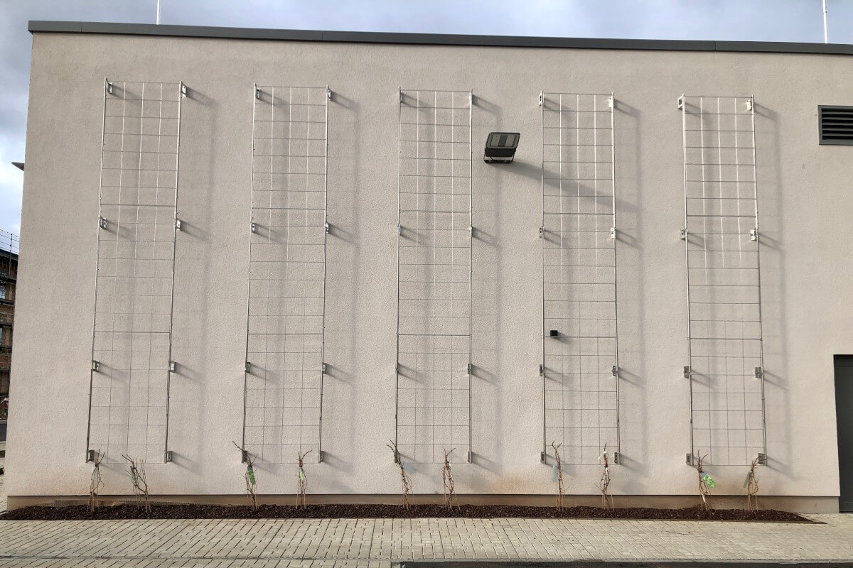 Montage Rankhilfe für Kletterpflanzen