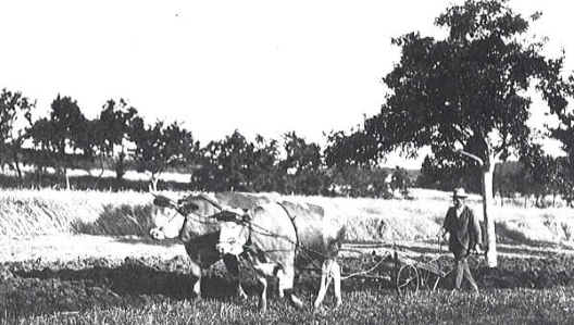 Feldbestellung vor nicht allzu langer Zeit 25